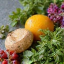 A close-up of fresh, vibrant natural ingredients like herbs, fruits, and flowers, symbolizing purity and natural sourcing.